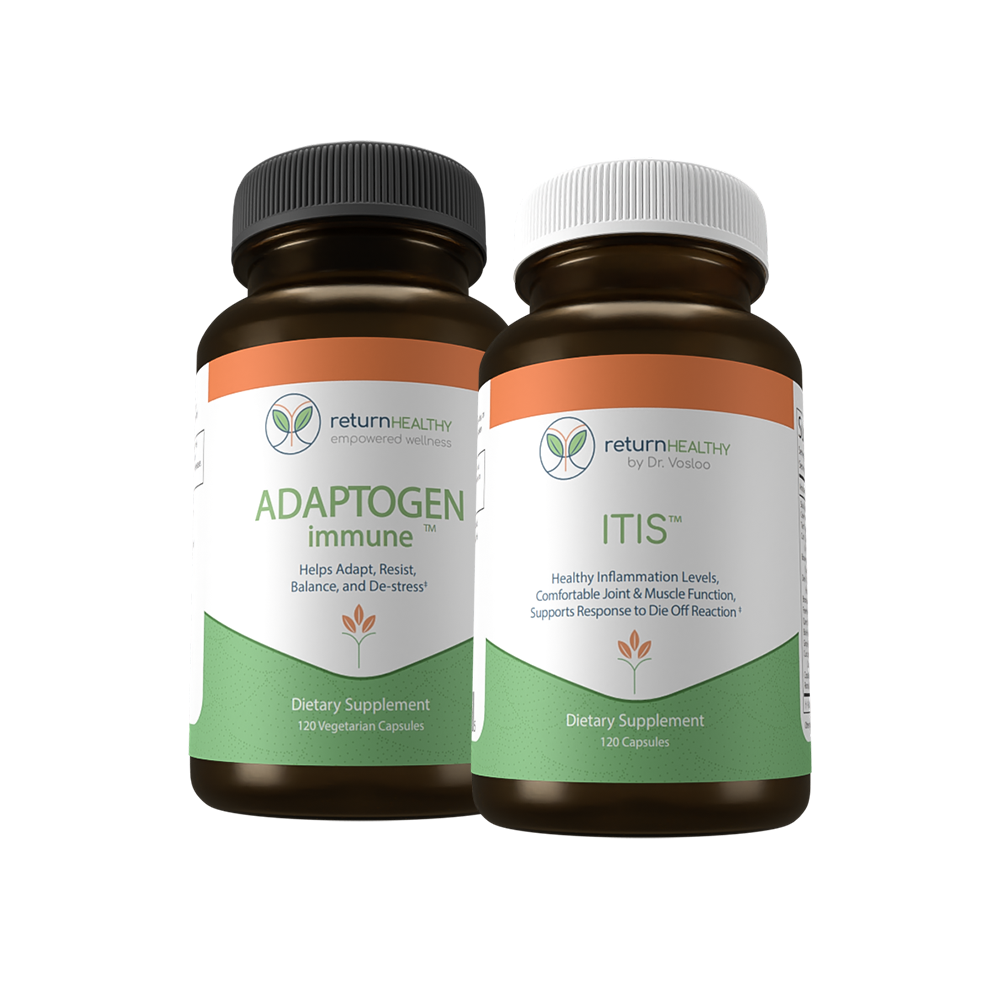 immune support supplements