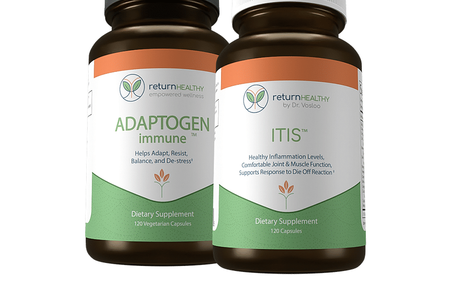immune support supplements