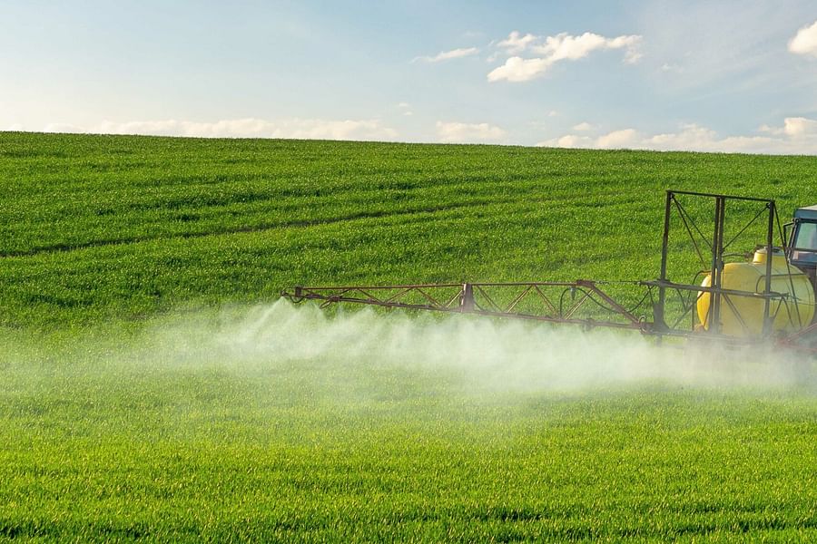 pesticides detoxification