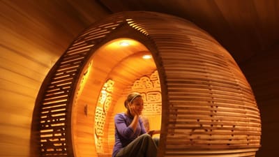 Exploring Therasage Saunas: Why They're a Top Pick for Health Enthusiasts