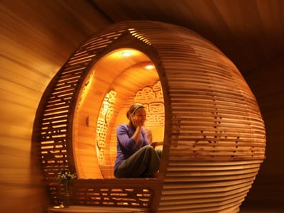 Exploring Therasage Saunas: Why They're a Top Pick for Health Enthusiasts